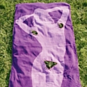 Serviettes de bain Gillette au poil