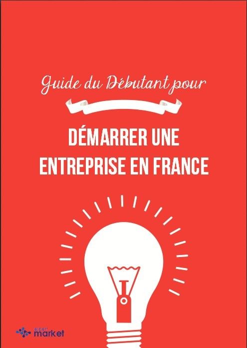 Le Guide (gratuit) du débutant pour démarrer son entreprise en France