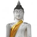 BOUDDHA
