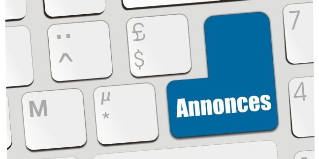 Petites annonces et ventes en ligne : les Français tous commerçants ?