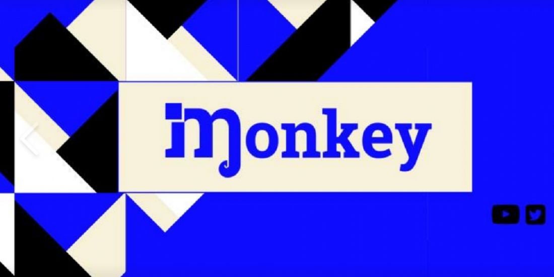 Naissance de Monkey, média vidéo et social d'Eléphant