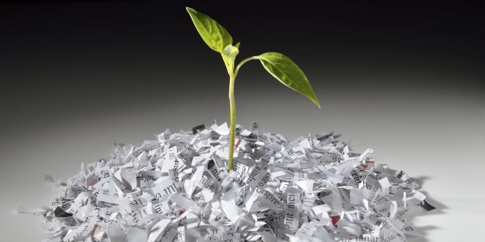 Le papier ne doit plus être le bouc-émissaire du développement durable