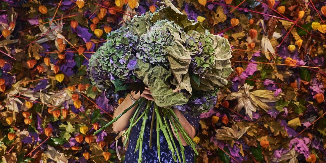 Interflora toujours vert malgré ses 71 printemps