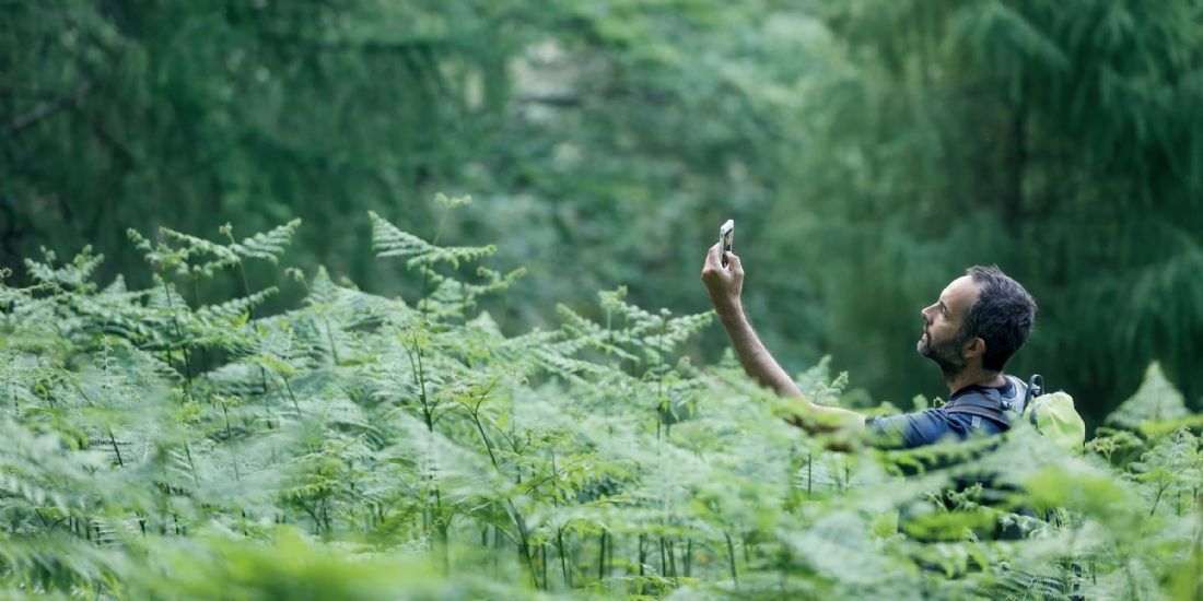 Vectaury, Singlespot, Fidzup, Teemo... La pub géolocalisée s'est-elle perdue ?