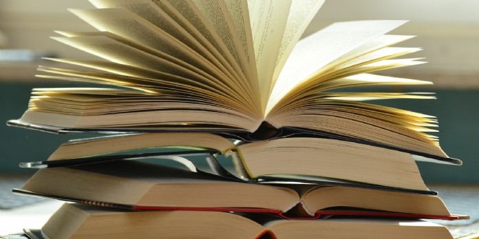 Journée du livre: Rakuten fait le bilan