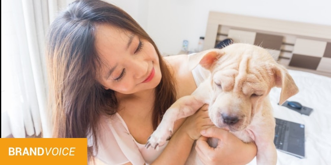 Le business des animaux : un marché en pleine expansion!