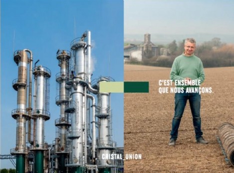 Cristal Union tire un trait pour son futur